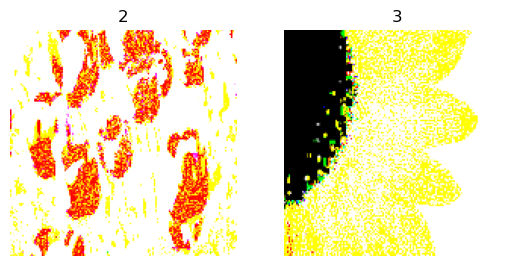 tfds_01